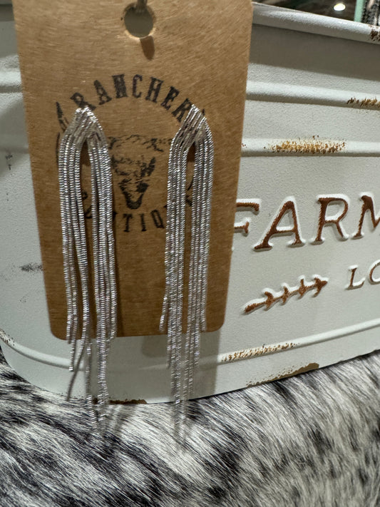 Stunning Silver drop Earrings